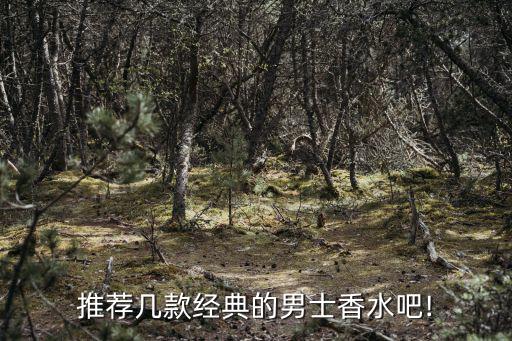 經典男香,男士香水哪款比較經典?我推薦范思哲同名香水