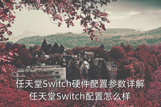 switch配置,任天堂switch配置怎么樣?看這里!