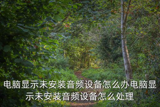 電腦未安裝音頻設備怎么解決,電腦未裝音頻設備怎么辦?