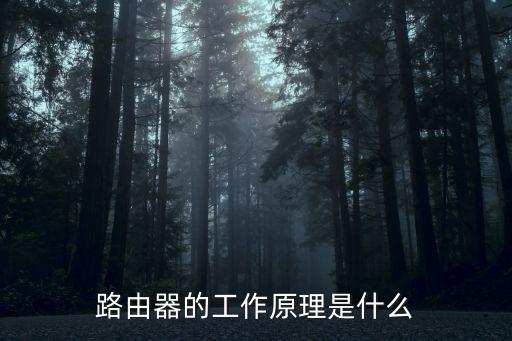 路由器的工作原理是什么