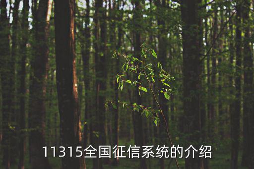 11315全國征信系統的介紹