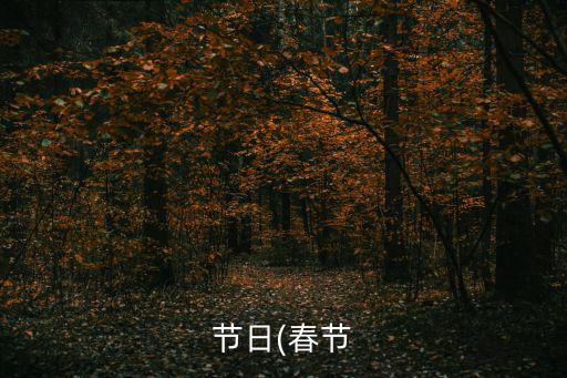 節日(春節