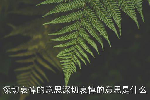 深切哀悼的意思深切哀悼的意思是什么