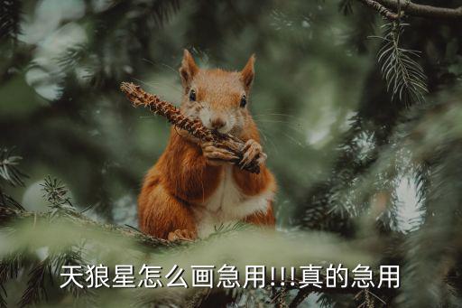 木星簡筆畫,天狼星也稱做大犬座α星，是除太陽外全天最亮恒星