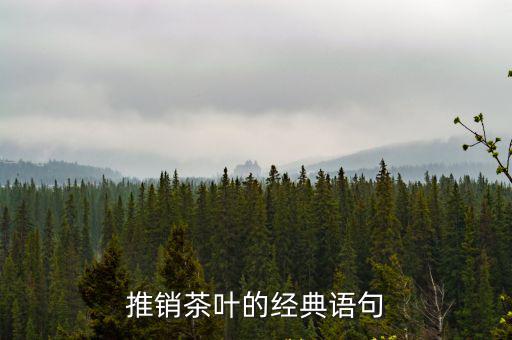 如何推銷茶葉,如何做好茶葉銷售?一文讀懂!