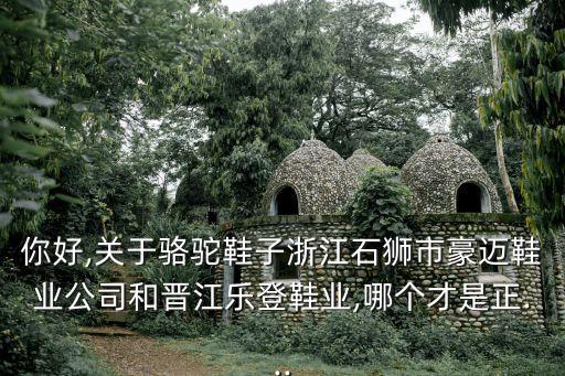 金邁王,關(guān)于駱駝鞋子你可以購(gòu)買(mǎi)哪個(gè)牌子的鞋子?