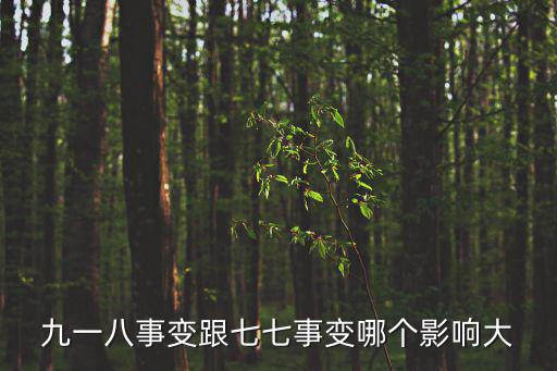 九一八事變的影響,九一八事變和柳條湖事件之爭的始末