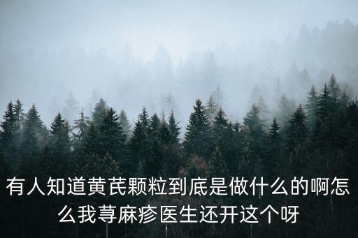 參芪顆粒的功效與作用，有人知道黃芪顆粒到底是做什么的啊怎么我蕁麻疹醫生還開這個呀
