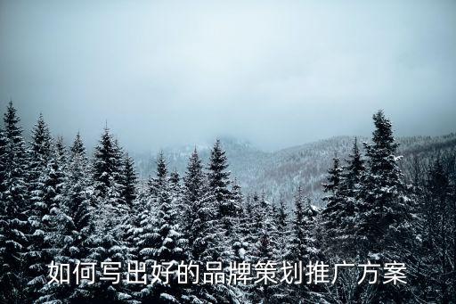 如何寫出好的品牌策劃推廣方案