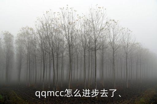 qqmcc,谷歌或火狐瀏覽器無法訪問問題已解決