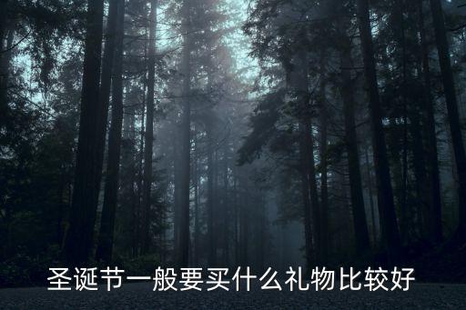 圣誕節(jié)一般要買什么禮物比較好