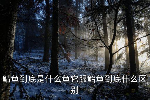 鯖科,我國(guó)產(chǎn)魚科魚類統(tǒng)稱魚是通俗稱法
