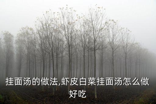 掛面湯的做法,蝦皮白菜掛面湯怎么做好吃