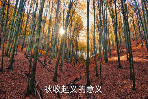 秋收起義的意義