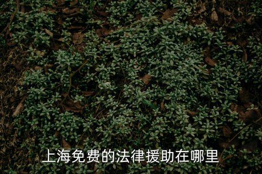 上海免費的法律援助在哪里
