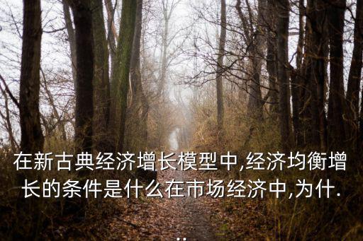 在新古典經濟增長模型中,經濟均衡增長的條件是什么在市場經濟中,為什...