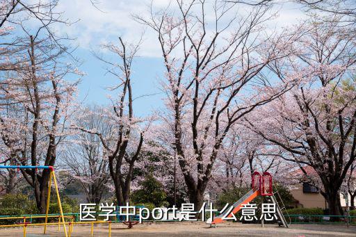 醫(yī)學(xué)中port是什么意思