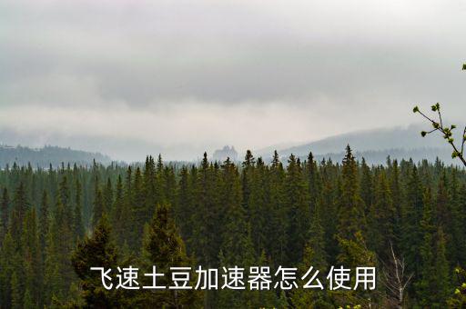 飛速土豆加速器怎么使用