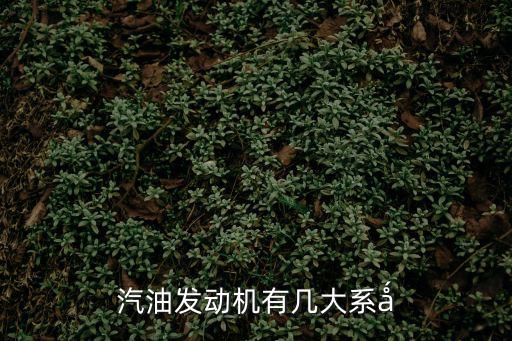 汽油發動機有幾大系?
