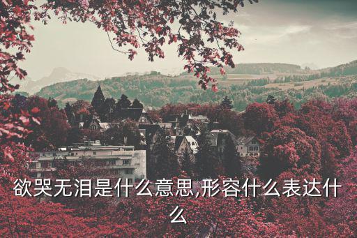 欲哭無淚的意思,想哭無淚的欲字解釋:什么意思?