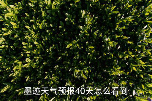 墨跡天氣預報40天怎么看到