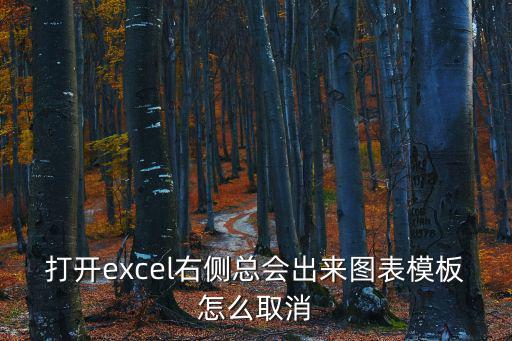 打開excel右側總會出來圖表模板怎么取消