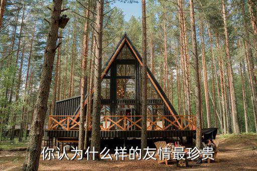 友情最珍貴,作文友誼最珍貴450字以上