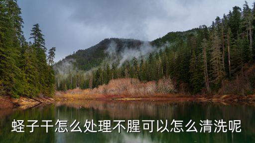 蟶子怎么清洗,怎么把子洗干凈?