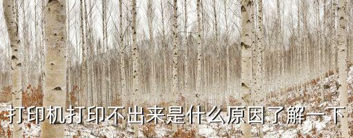 打印機(jī)打不出來(lái),為什么打印不出東西?