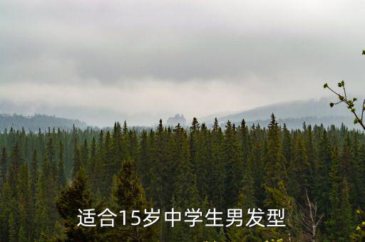 中學生發型,中學生發型怎么扎?