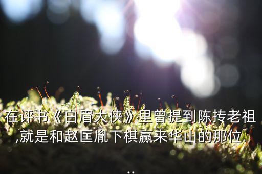 在評書《白眉大俠》里曾提到陳摶老祖,就是和趙匡胤下棋贏來華山的那位...