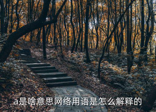 a是啥意思網(wǎng)絡(luò)用語是怎么解釋的