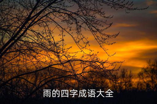 雨的四字成語大全