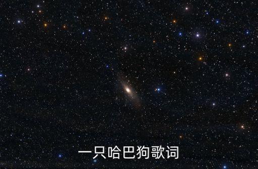 哈巴狗,《一只哈巴狗》專輯推介會