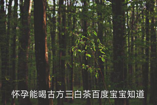 孕婦能喝白茶嗎,懷孕能不能喝綠茶?可以試一下!