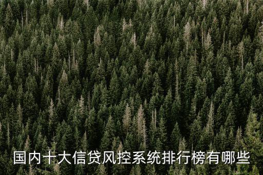 國內十大信貸風控系統排行榜有哪些