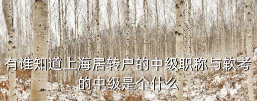 有誰知道上海居轉(zhuǎn)戶的中級職稱與軟考的中級是個什么