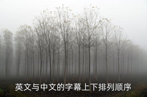 字幕英文,怎樣將英文字幕轉換成中文字?
