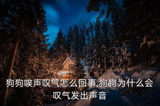 狗狗唉聲嘆氣怎么回事,狗狗為什么會嘆氣發出聲音