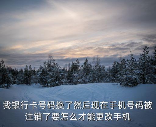 廣東一網(wǎng)通辦官網(wǎng)，沒(méi)成年 怎么辦理網(wǎng)絡(luò)銀行啊