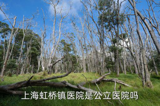 上海虹橋鎮醫院是公立醫院嗎
