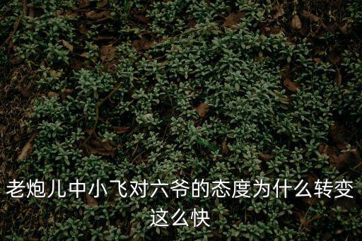 老炮兒中小飛對六爺?shù)膽B(tài)度為什么轉(zhuǎn)變這么快