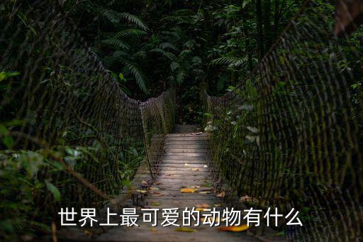 世界上最可愛的狗,世界上最可愛的狗是什么樣的?