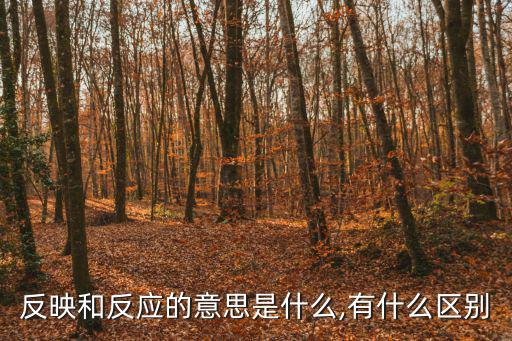 反映和反應(yīng)的意思是什么,有什么區(qū)別