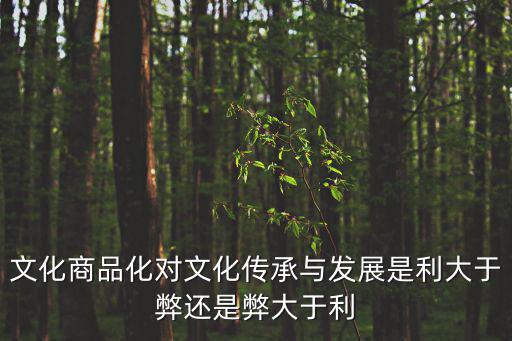 文化商品化對文化傳承與發(fā)展是利大于弊還是弊大于利