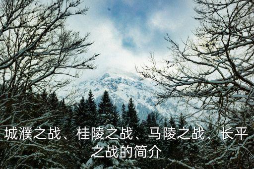 馬陵之戰(zhàn)簡(jiǎn)介,孫臏再在桂陵伏襲大敗魏軍