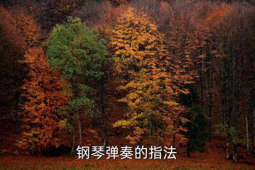 鋼琴指法,怎么學鋼琴?先別急著收拾行李
