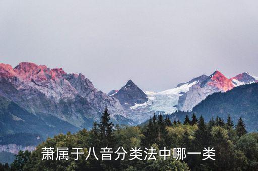 八音分類法,八音分類法是我國最早的樂器分類方法
