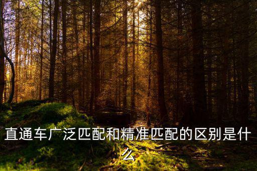 直通車廣泛匹配和精準匹配的區別是什么