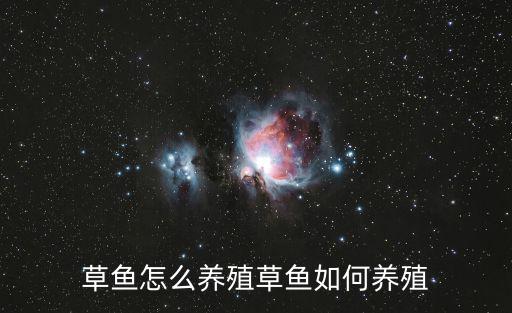 草魚怎么養殖草魚如何養殖